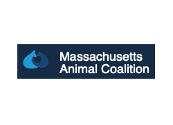 Massachusetts Animal Coalition