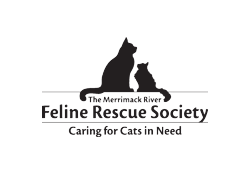 Merrimack River Feline Rescue Society