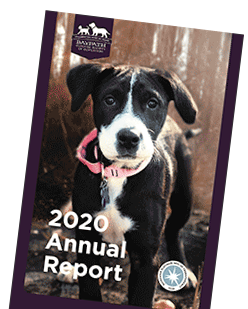 Baypath Humane 2020 Annual report