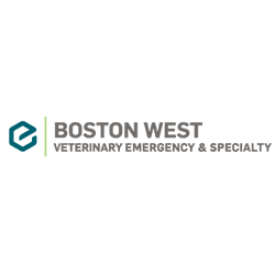 BHS_Boston-West_250