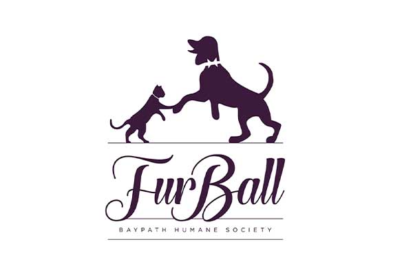BHS_Fur-Ball-Logo