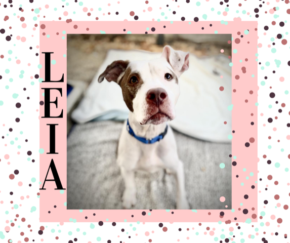 Leia finds happiness & Love!