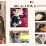 Photo collage of Tirrell Family & their foster cats