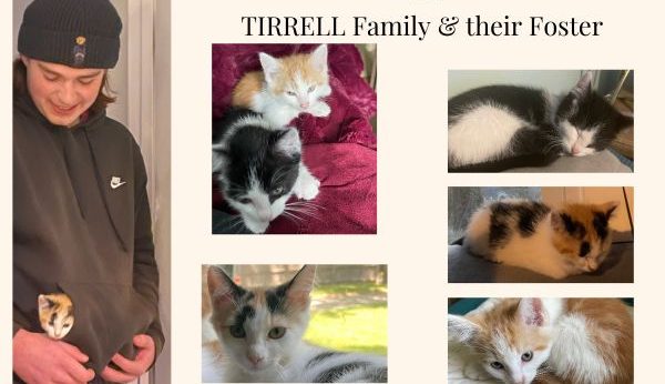 Photo collage of Tirrell Family & their foster cats