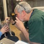 Joe Pocher, DVM, using an Ophthalmoscope and Otoscope donated by Banfield Hospital to examine the 4 yorkies