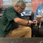 Joe Pocher, DVM, using an Ophthalmoscope and Otoscope donated by Banfield Hospital to examine the 4 yorkies