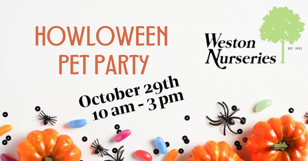 Howloween Pet Party - Weston Nurseries - October 29th 10zm-3pm