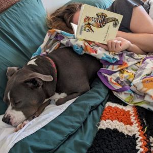 Thumbelina, a grey and white pitbull mix sleeping on a couch with her foster mom while she reads a book