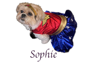 Logo_Sophie-2024